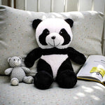 Huzur Misyonu Panda Pogo